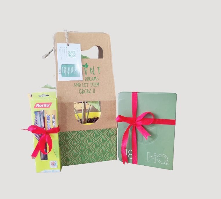 Stationary Gift syngonium plant